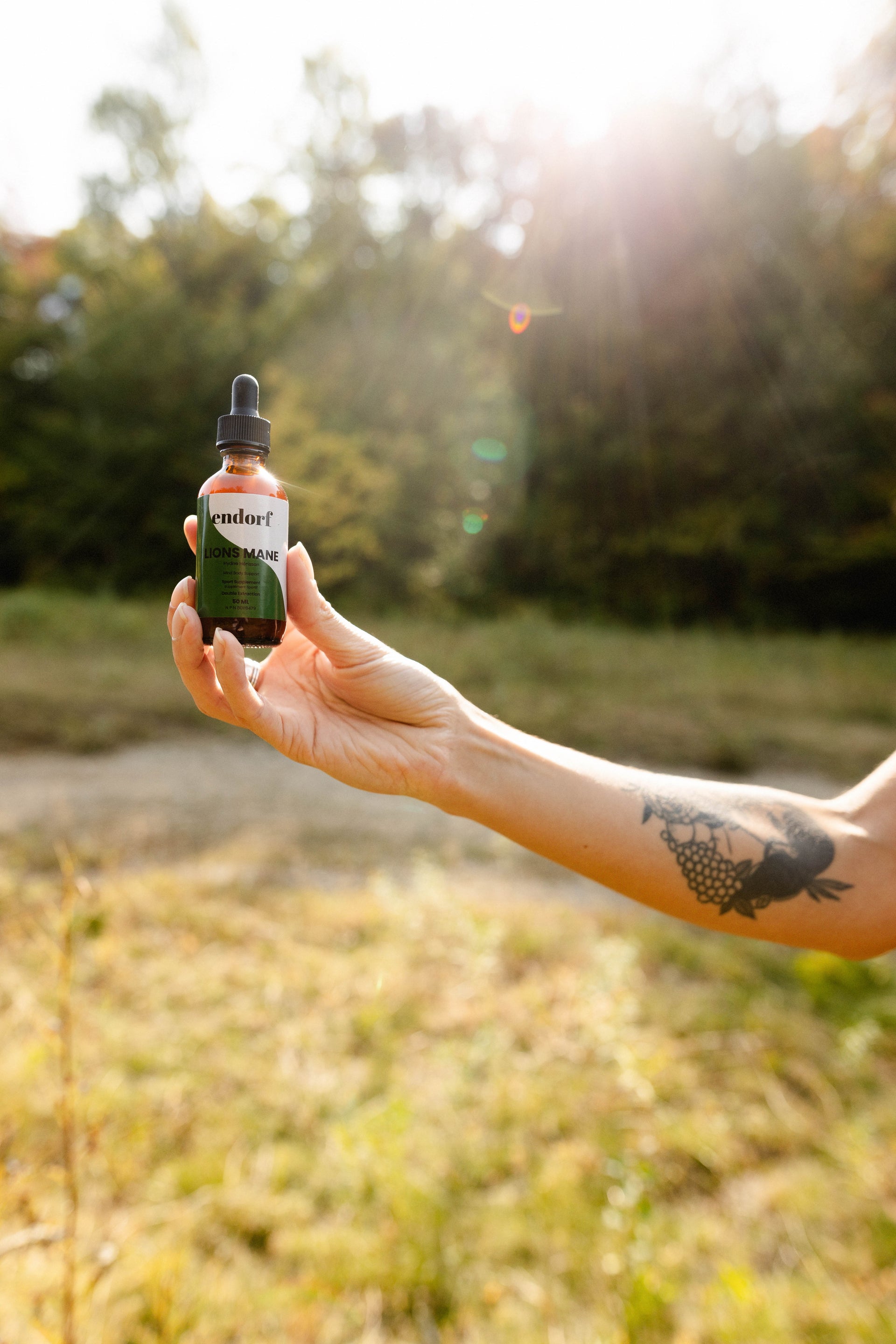 Lion's Mane  Liquid Mushroom extract